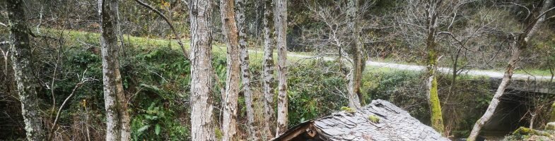 Esta Navidad regala por el Mundo Rural con la Campaña #Salvaelmundorural. Regala una experiencia de ecoturismo y contribuirás con el 10% a la recuperación del «Mulín de Rusil»